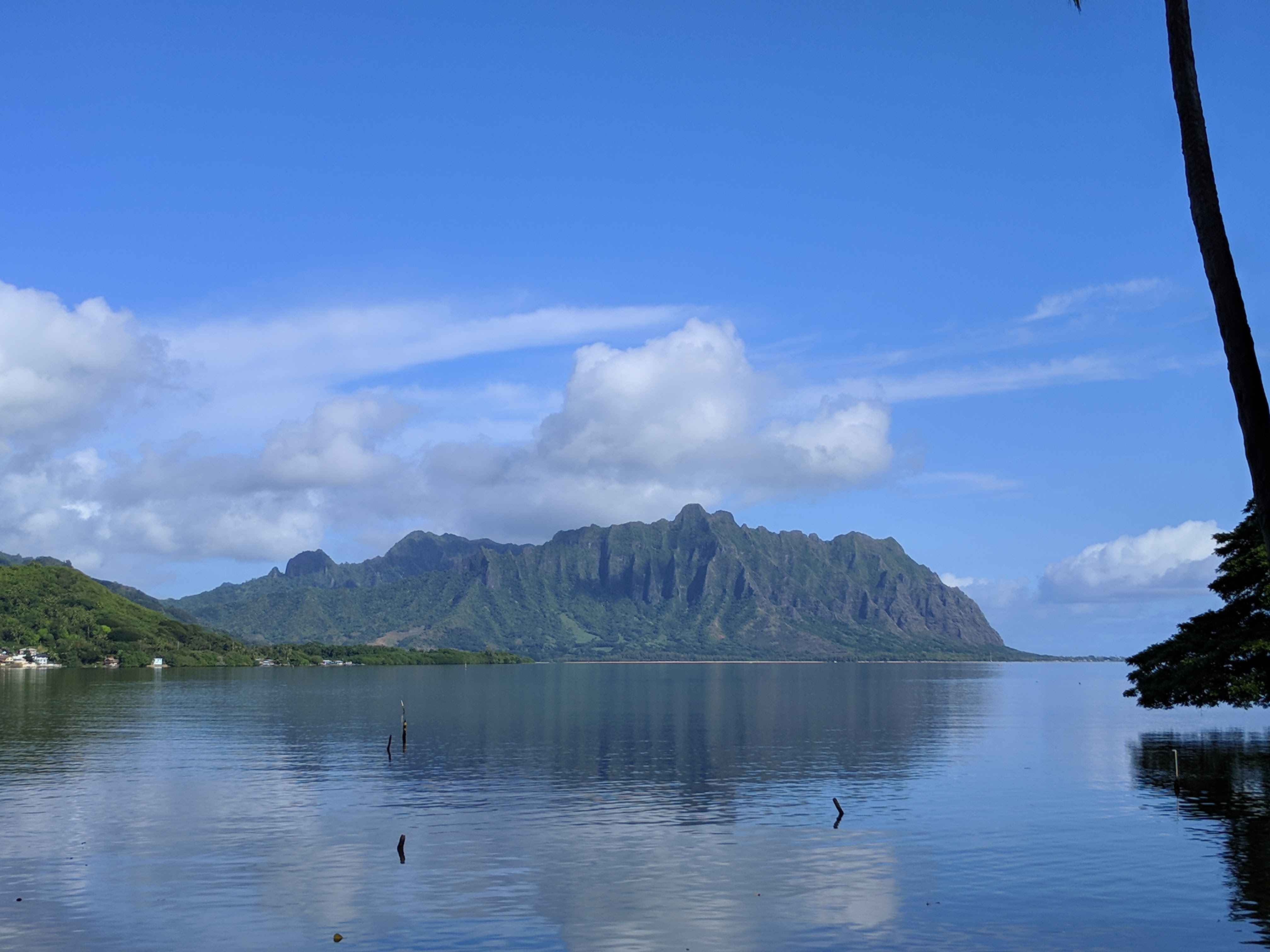 View from the hotel room on my trip to Oahu